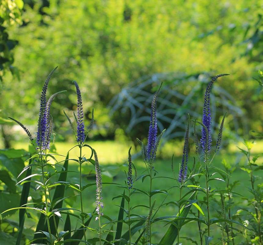 � ������� ����� ����� �����  �� PhotoGeek.ru #������ ��� ������� #����� ��������������