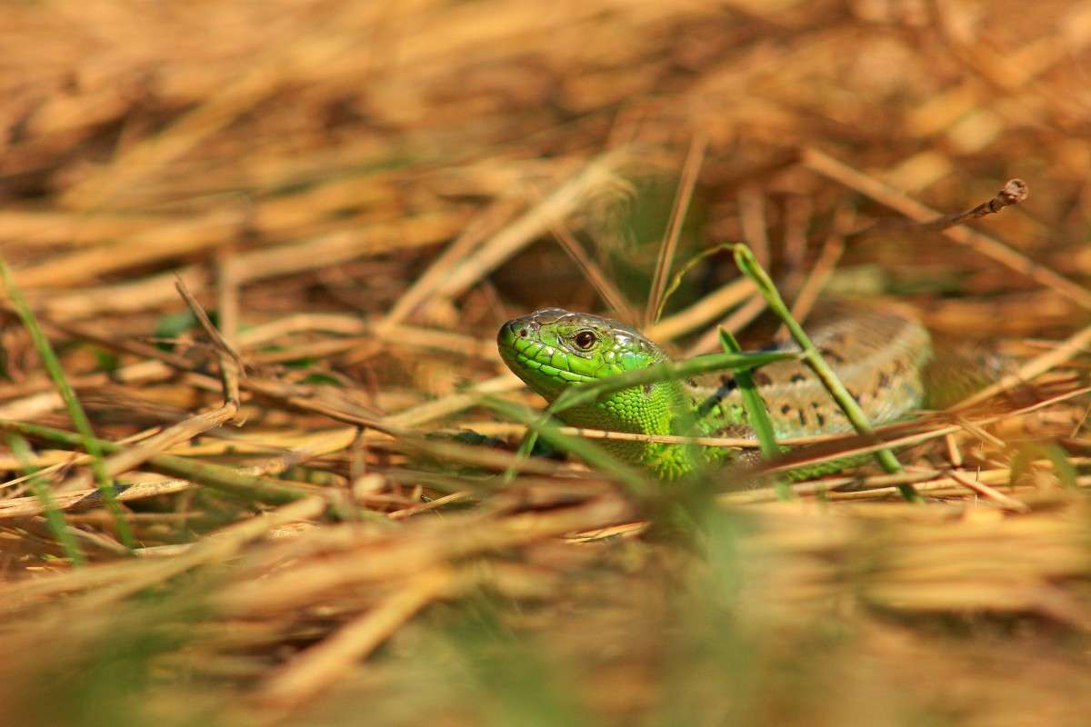 ������2 ����� �����  �� PhotoGeek.ru #�������� ��� #������ ��� ������� #��������� #����� ��������