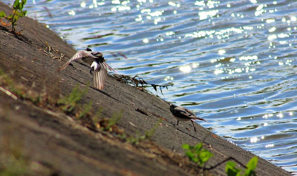 ������� � ���������) ����� �����  �� PhotoGeek.ru #�������� ��� #������ ��� ������� #���������