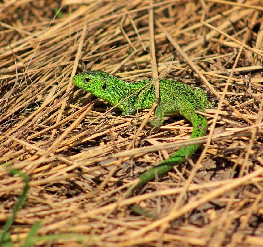 ���������� ����� �����  �� PhotoGeek.ru #�������� ��� #������ ��� �������