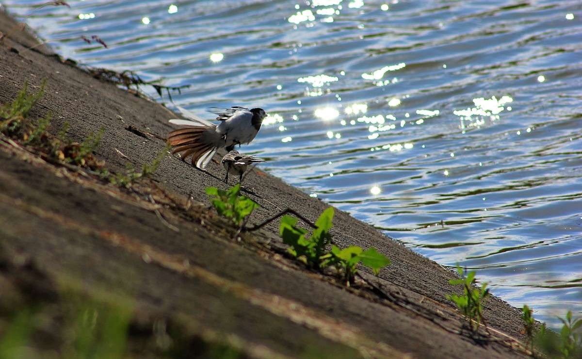 ����������� ��������) ����� �����  �� PhotoGeek.ru #�������� ��� #������ ��� ������� #����� ��������