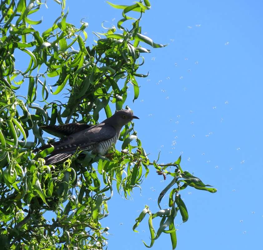 ������ ����� �����  �� PhotoGeek.ru #�������� ���