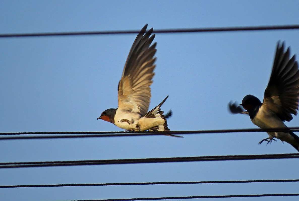 �������� ����� �����  �� PhotoGeek.ru #�������� ��� #������ ��� ������� #���������