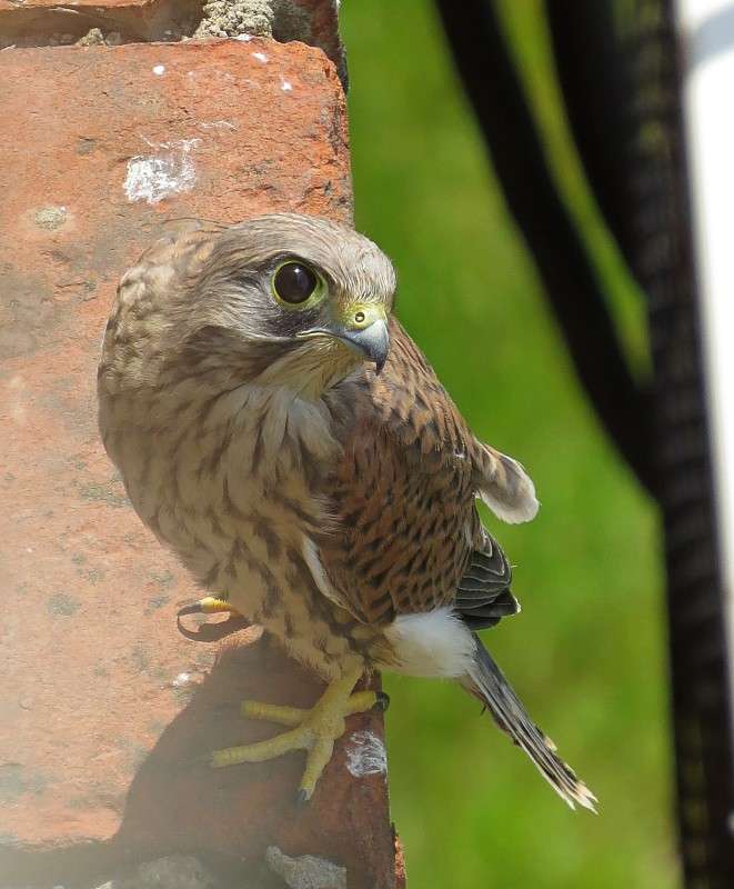 � ���� �� ���� ����� �����  �� PhotoGeek.ru #�������� ��� #������ ��� ������� #����� ��� ��� ���������