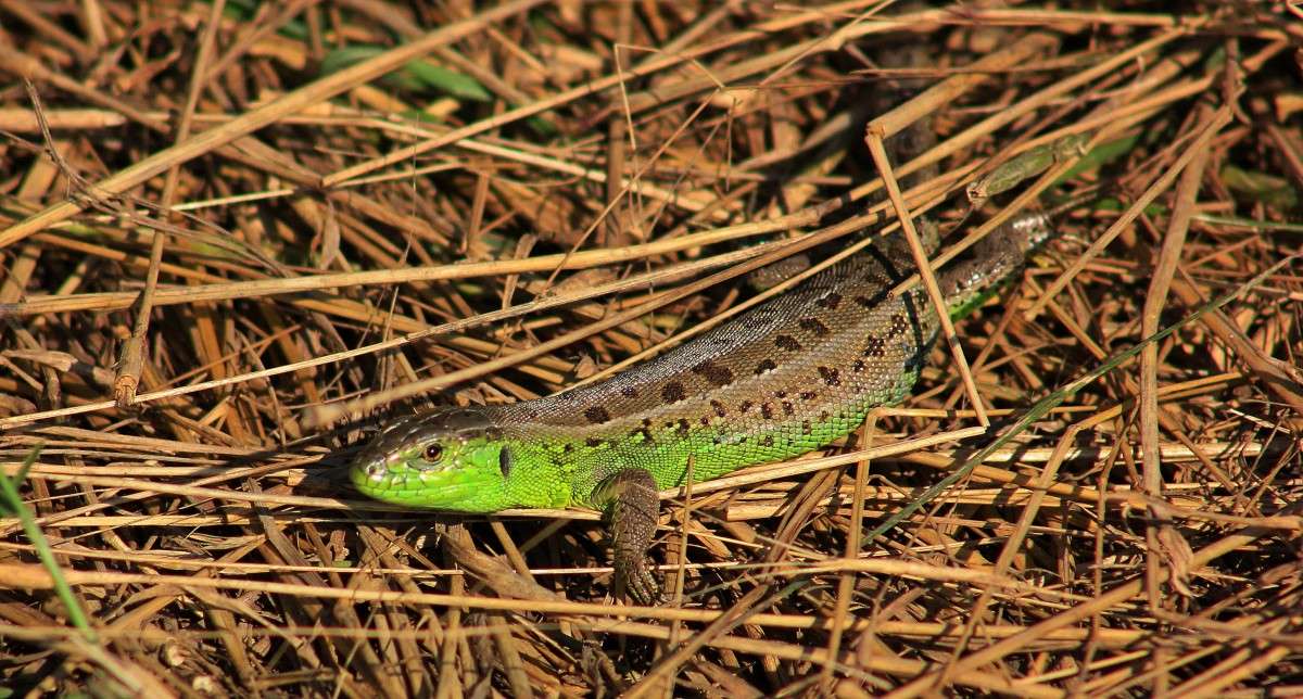 ����������� �� �� ���� ��������� ��� �����...)) ����� �����  �� PhotoGeek.ru #�������� ��� #����� ��� ��� ���������