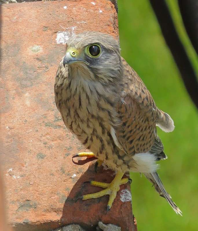 �������� ������� ���� ����� ����� �����  �� PhotoGeek.ru #�������� ��� #����� ��� ��� ���������