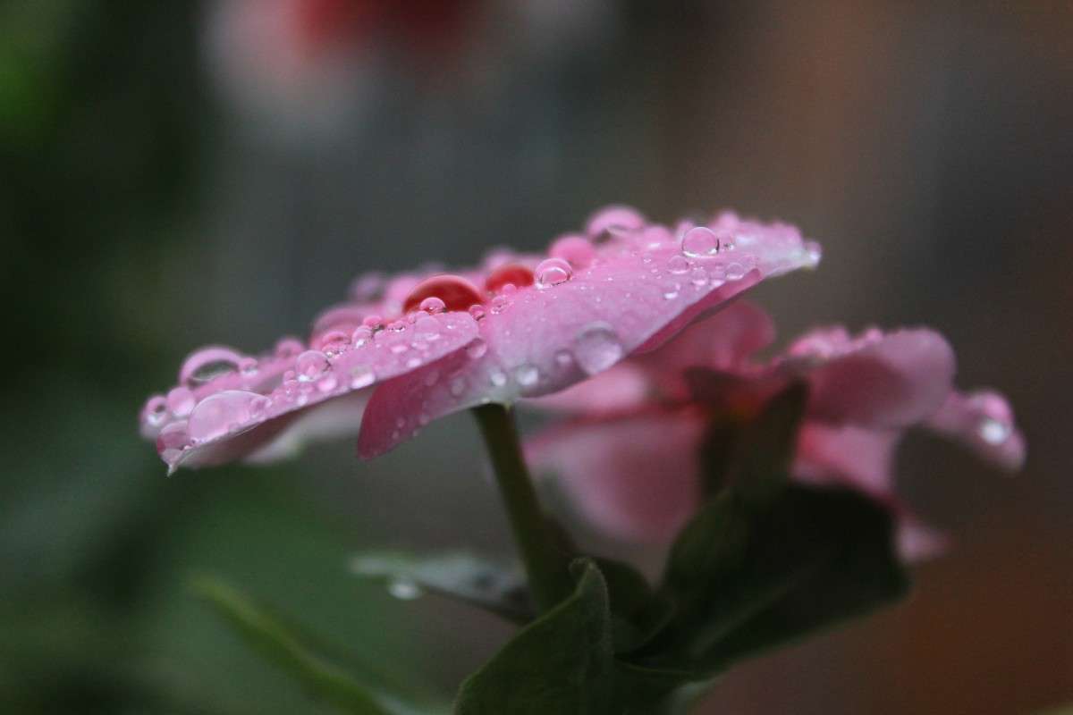 ������ ����� �����  �� PhotoGeek.ru #������ ��� ������� #����� ��������������