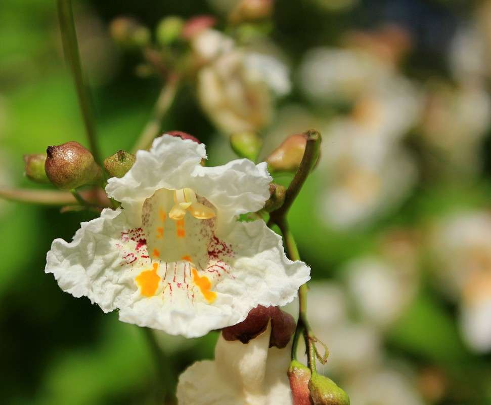 ... ����� �����  �� PhotoGeek.ru #������ ��� ������� #����� ��������������