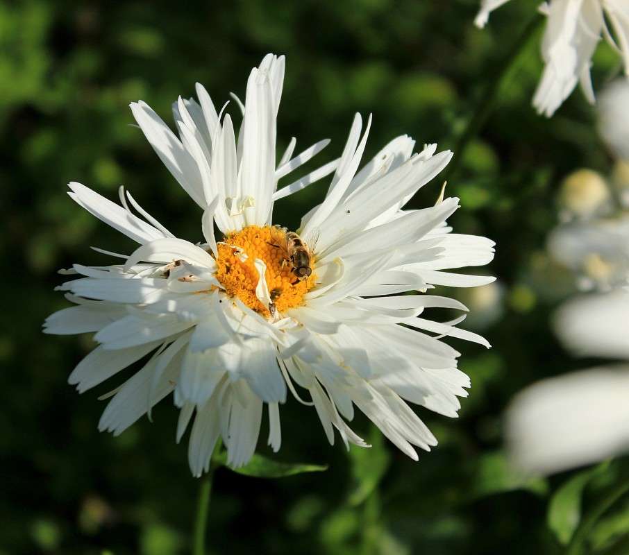 �������� ����� �����  �� PhotoGeek.ru #������ ��� ������� #����� ��������������