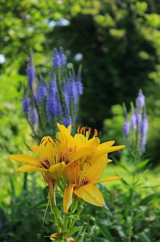 ����� �� ������� ����� �����  �� PhotoGeek.ru #������ ��� ������� #����� ��������������