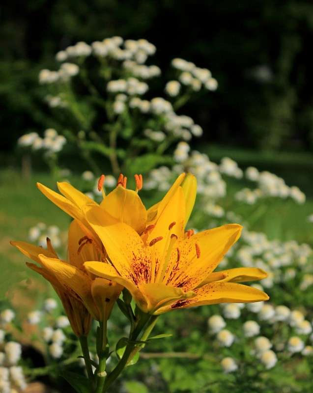 ����� �� ����� ����� �����  �� PhotoGeek.ru #������ ��� ������� #����� ��������������