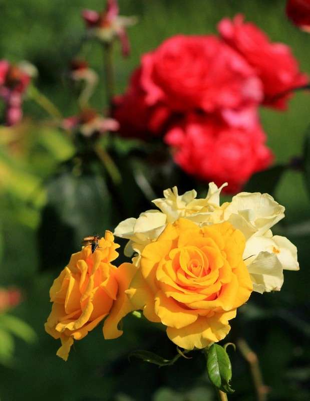 ������� ����� �����  �� PhotoGeek.ru #������ ��� ������� #����� ��������������