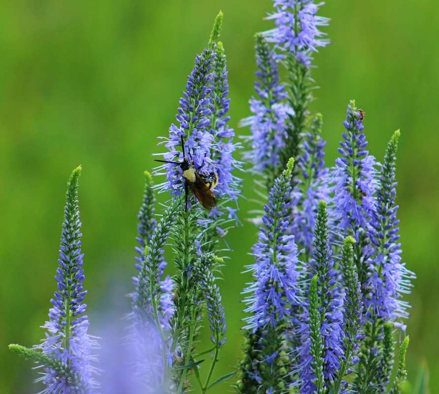 ... ����� �����  �� PhotoGeek.ru #������ ��� ������� #����� ��������������