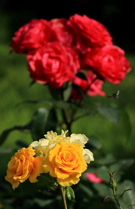 ����� �� ������ ����)) ����� �����  �� PhotoGeek.ru #������ ��� ������� #����� ��������������