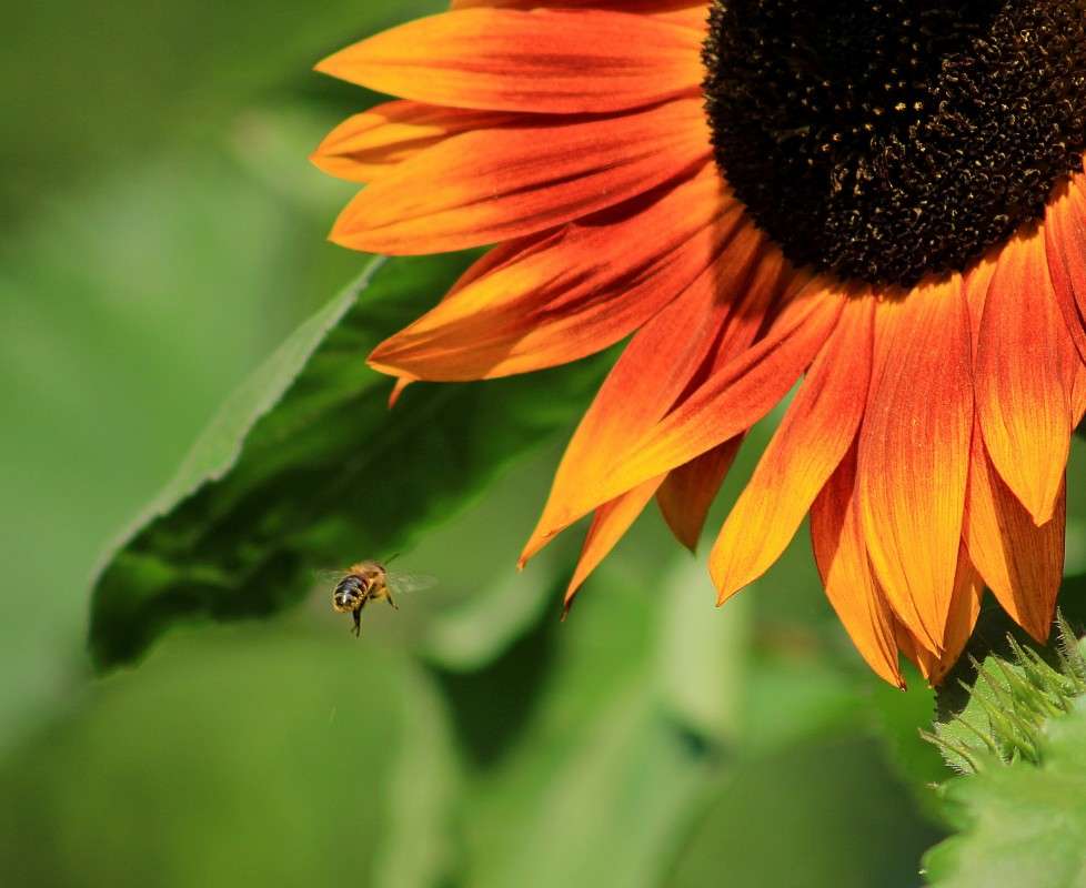 ���� � ������ ������) ����� �����  �� PhotoGeek.ru #������ ��� ������� #����� ��������������