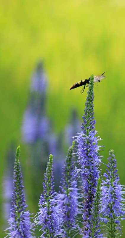 ��������� ������������ ����� �����  �� PhotoGeek.ru #������ ��� ������� #����� �������������� #����� ��������