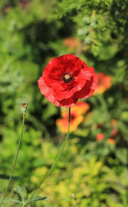 ��� ����� �����  �� PhotoGeek.ru #������ ��� ������� #����� ��������������