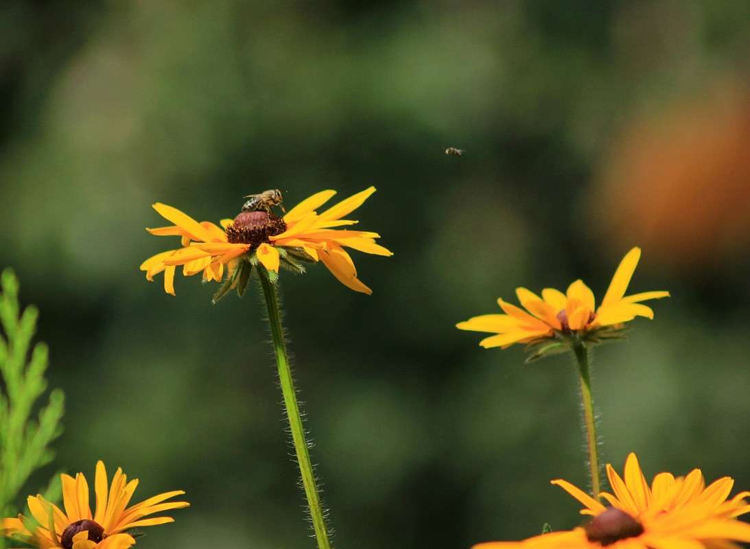 ����������� ����� �����  �� PhotoGeek.ru #������ ��� ������� #����� ��������������