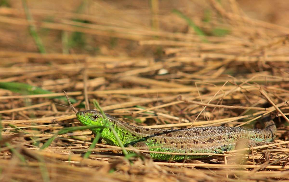 ������ ���) ����� �����  �� PhotoGeek.ru #�������� ��� #������ ��� ������� #�������