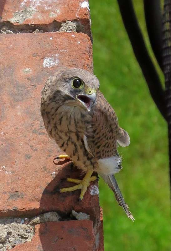 �������� ����� �����  �� PhotoGeek.ru #�������� ��� #����� ��� ��� ���������