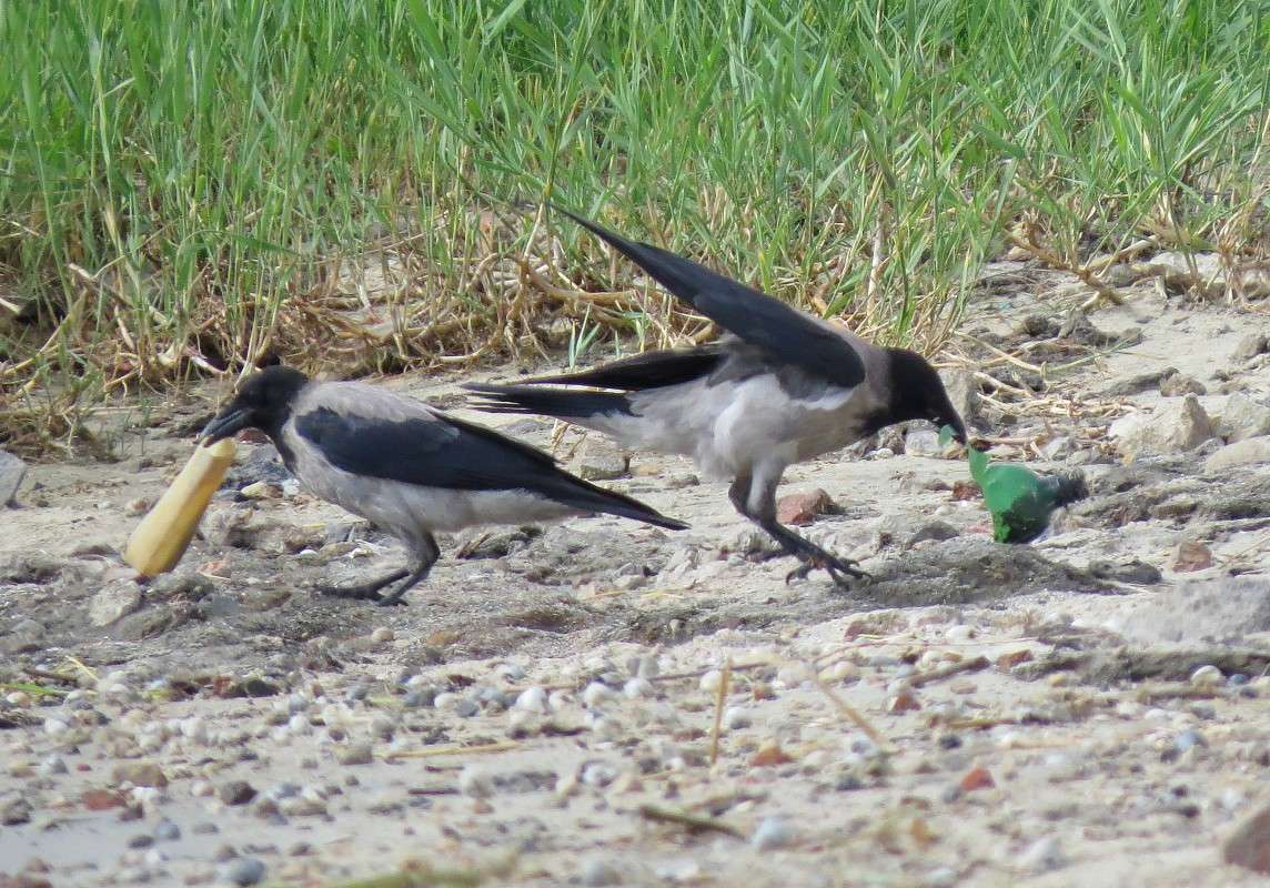 � ���� ���� ������� ����� �����  �� PhotoGeek.ru #�������� ��� #����� ��� ��� ���������