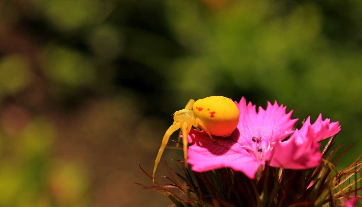 ���� ���? ����� �����  �� PhotoGeek.ru #�������� ��� #������ ��� ������� #����� ��������������