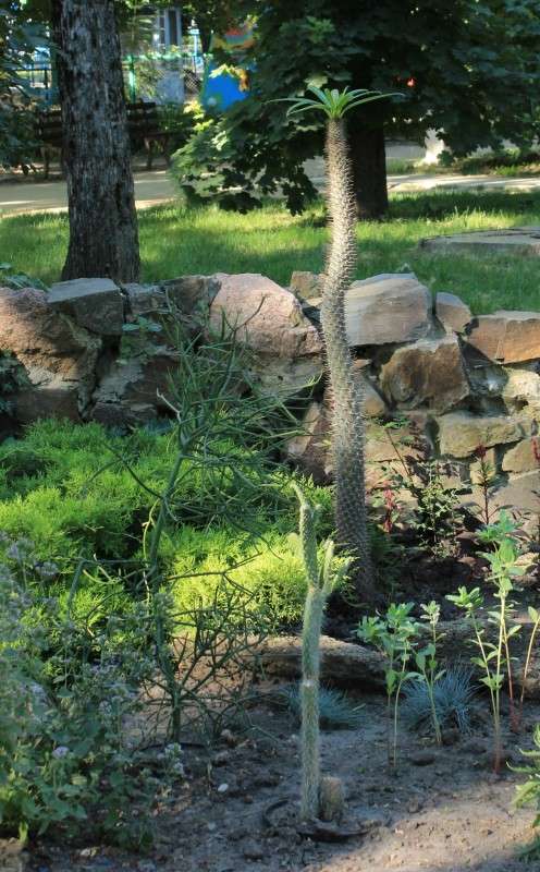 � ������������ ����� 1 ����� �����  �� PhotoGeek.ru #������ ��� ������� #����� ��������������