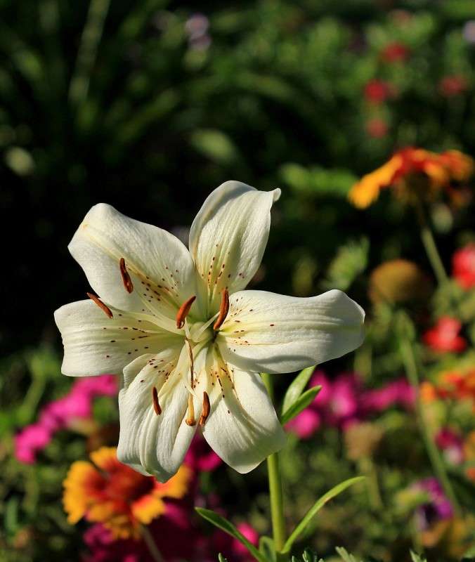 ����� ����� �����  �� PhotoGeek.ru #������ ��� ������� #����� ��������������