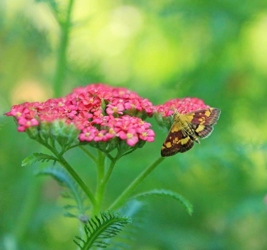 ������� ��������� ����� �����  �� PhotoGeek.ru #������ ��� ������� #����� ��������������