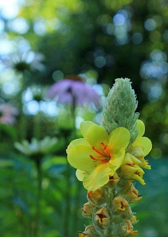 ... ����� �����  �� PhotoGeek.ru #������ ��� ������� #����� ��������������