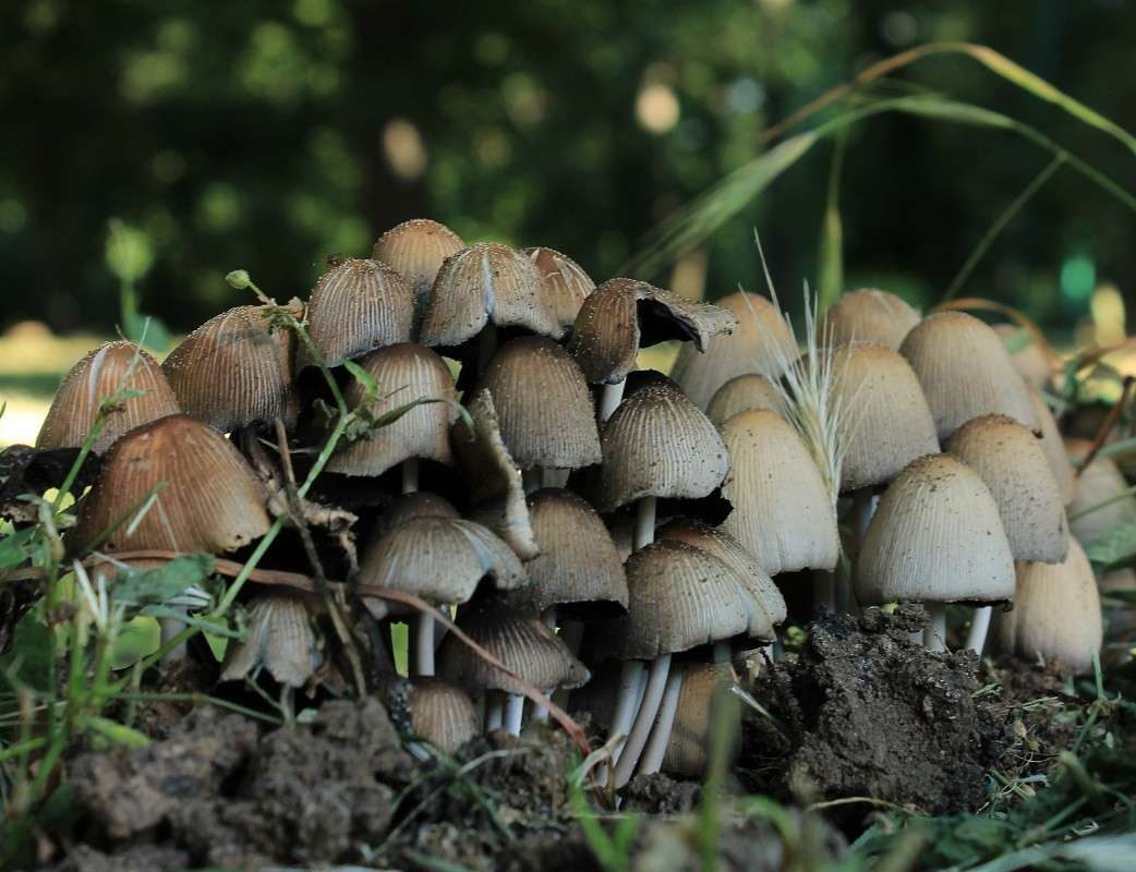 ��������� ����� �����  �� PhotoGeek.ru #������ ��� ������� #����� ��������������