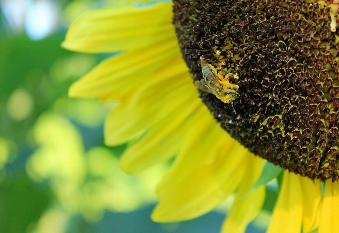 �������� ����� �����  �� PhotoGeek.ru #������ ��� ������� #����� ��������������