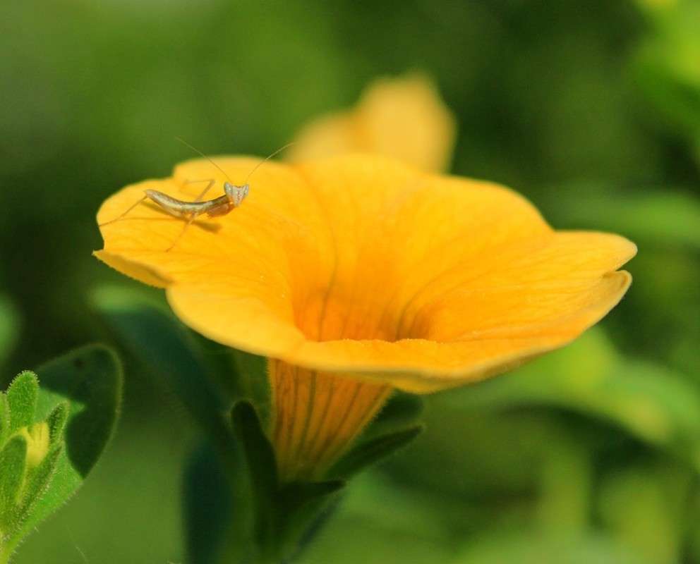 ��������� ����������� ����� �����  �� PhotoGeek.ru #�������� ��� #������ ��� ������� #����� ��������������