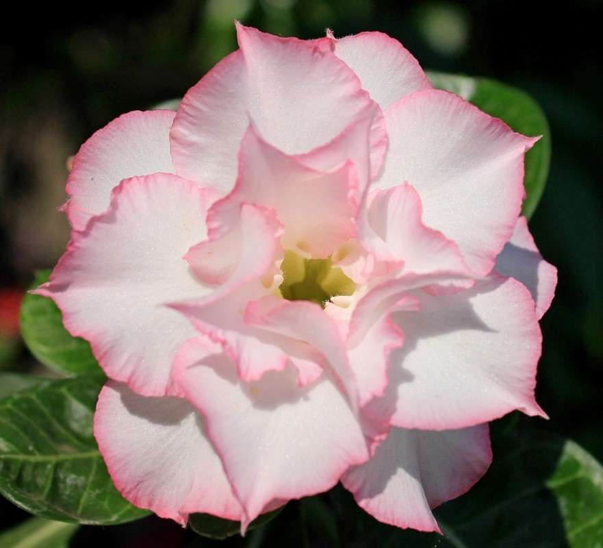 �������� ����� �����  �� PhotoGeek.ru #������ ��� ������� #����� ��������������