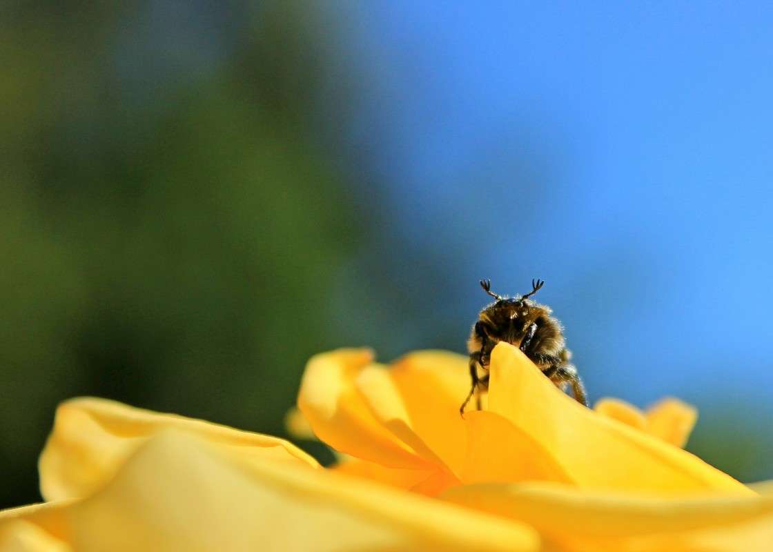 �����)))) ����� �����  �� PhotoGeek.ru #�������� ��� #������ ��� ������� #����� ��������������