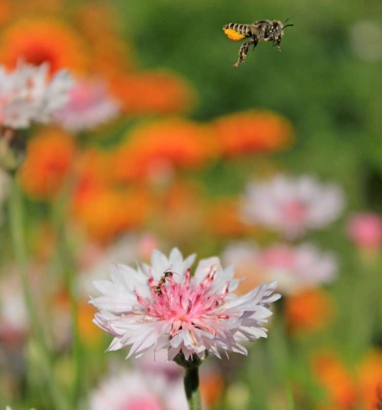 ����� � �� ���... ����� �����  �� PhotoGeek.ru #�������� ��� #������ ��� ������� #����� ��������������