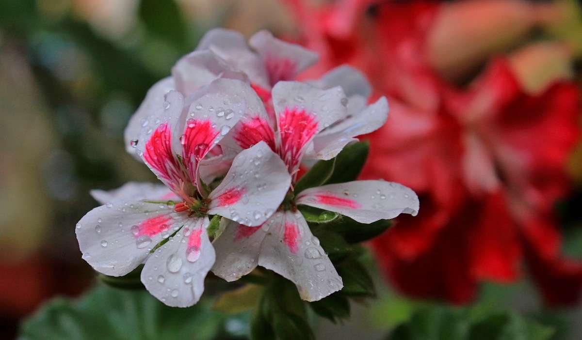 ����� ������� ����� �����  �� PhotoGeek.ru #������ ��� ������� #����� ��������������