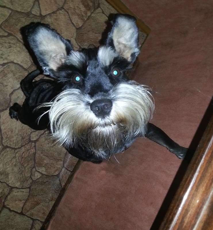 )))))))))))) ����� �����  �� PhotoGeek.ru #�������� ���