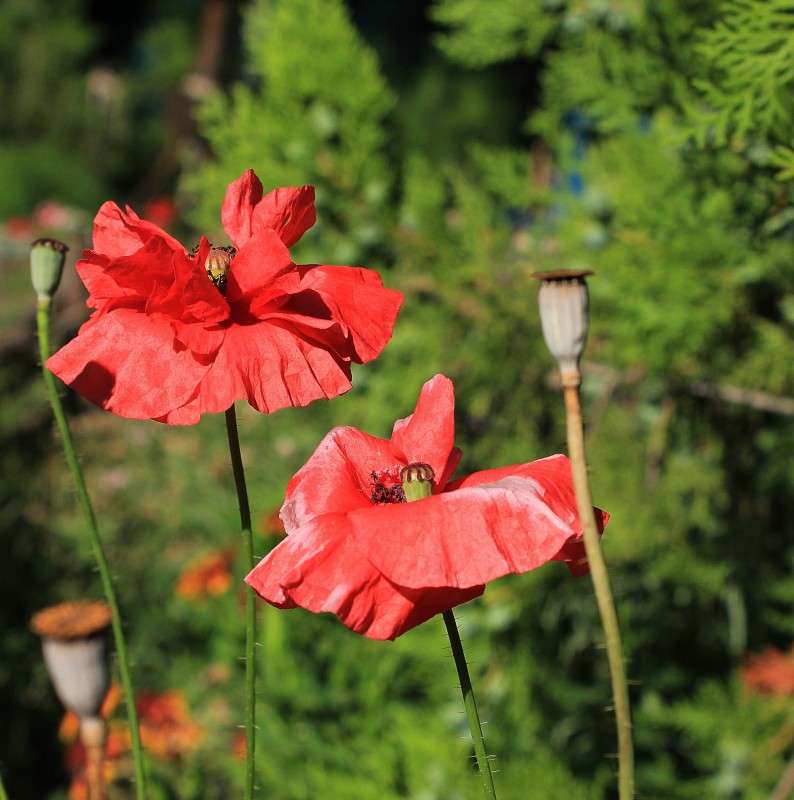 ����� ����) ����� �����  �� PhotoGeek.ru #������ ��� ������� #����� ��������������