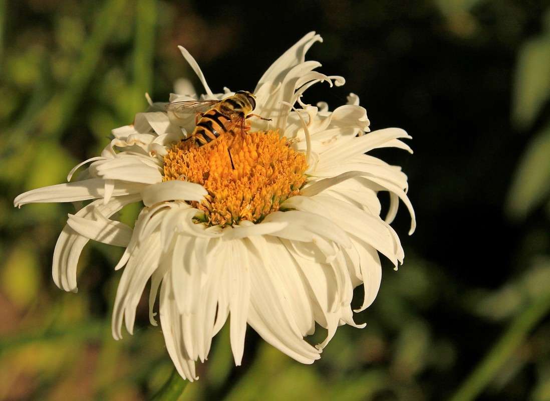 ... ����� �����  �� PhotoGeek.ru #������ ��� ������� #����� ��������������