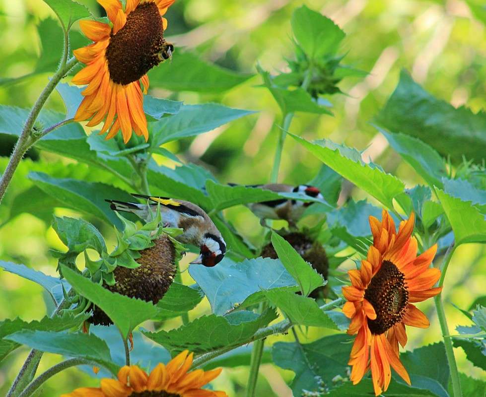 ���� ���� ��� ����������) ����� �����  �� PhotoGeek.ru #������ ��� ������� #����� ��������������