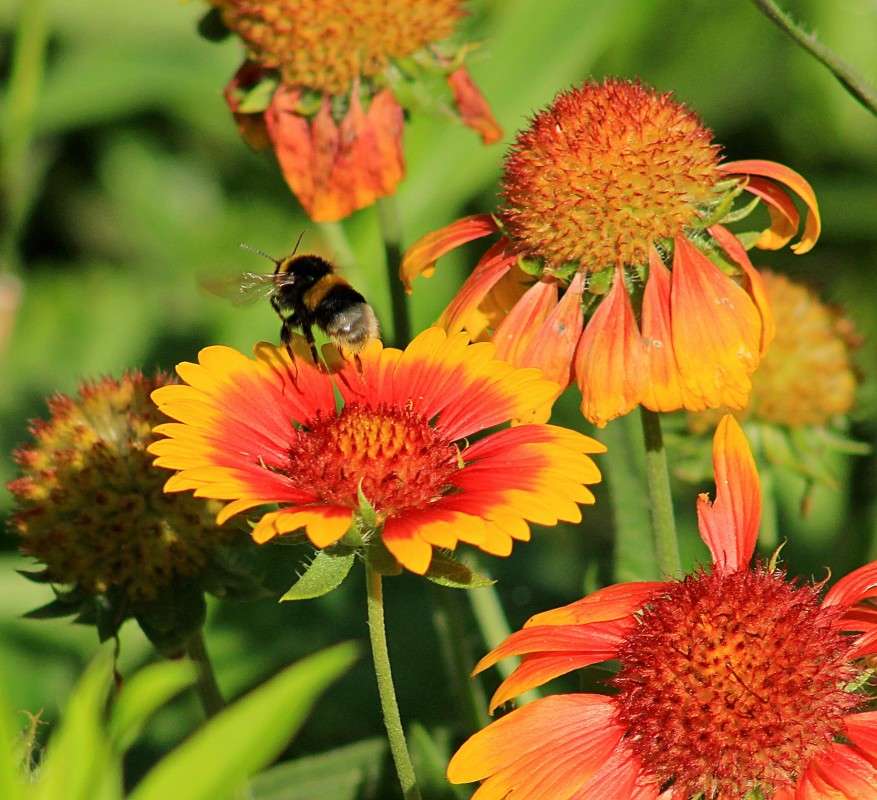 ��������.. ����� �����  �� PhotoGeek.ru #������ ��� ������� #����� ��������������