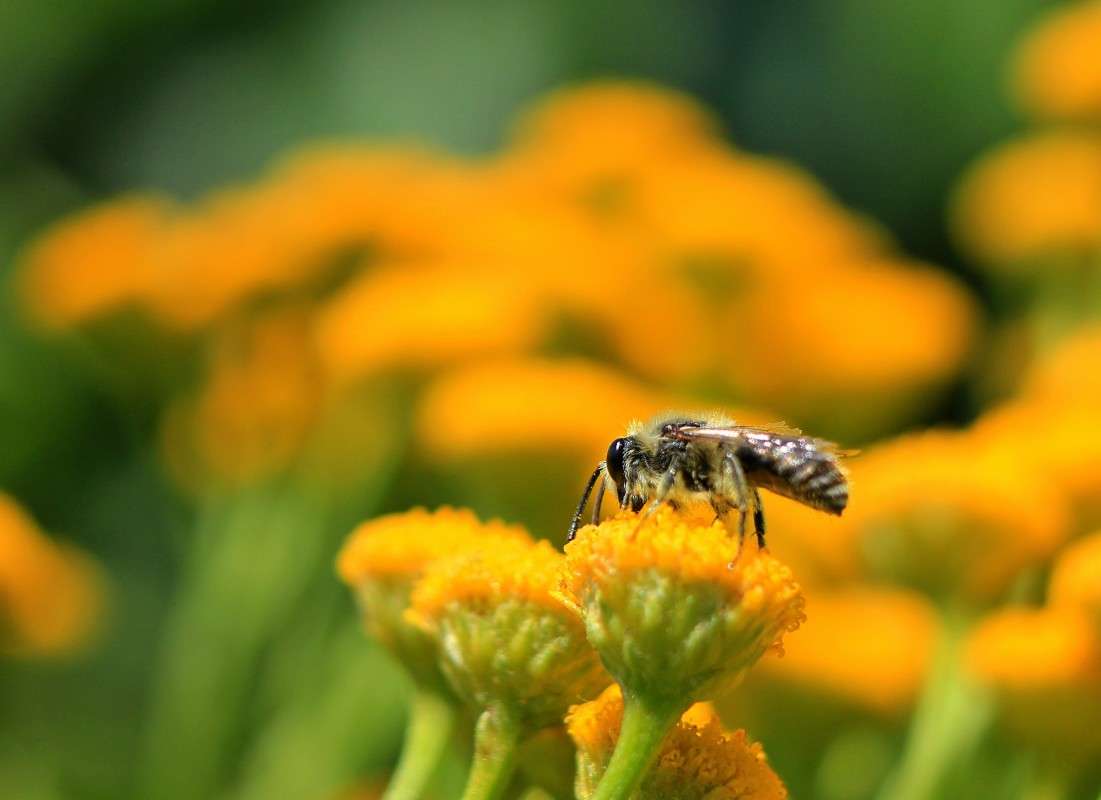 ... ����� �����  �� PhotoGeek.ru #������ ��� ������� #����� ��������������