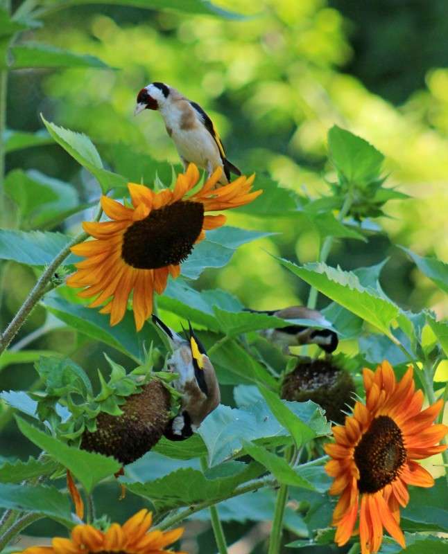 �������� ����� �����  �� PhotoGeek.ru #�������� ��� #������ ��� ������� #����� ��� ��� ��������� #����� �������������� #����� ��������