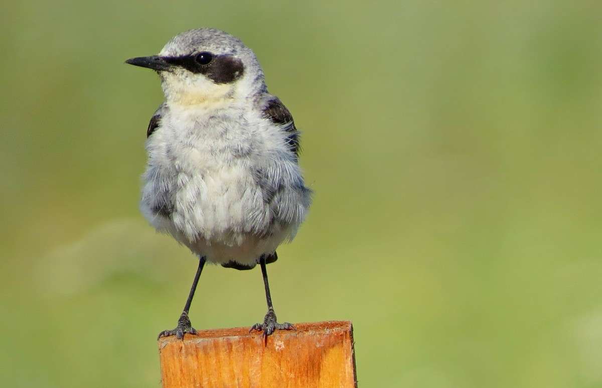 ������ ������� ����� �����  �� PhotoGeek.ru #�������� ��� #����� ��� ��� ���������