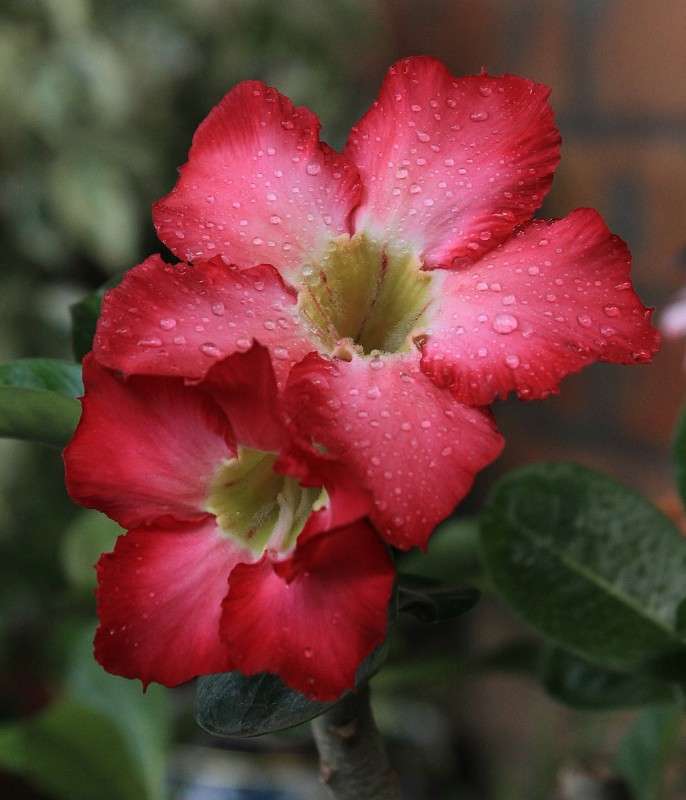 ����������.. ����� �����  �� PhotoGeek.ru #������ ��� ������� #����� ��������������