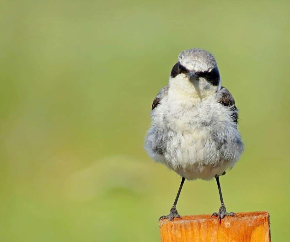 �� ���? ���������? ����� �����  �� PhotoGeek.ru #�������� ��� #����� ��� ��� ���������