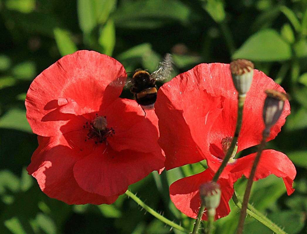 ... ����� �����  �� PhotoGeek.ru #�������� ��� #����� ��� ��� ���������