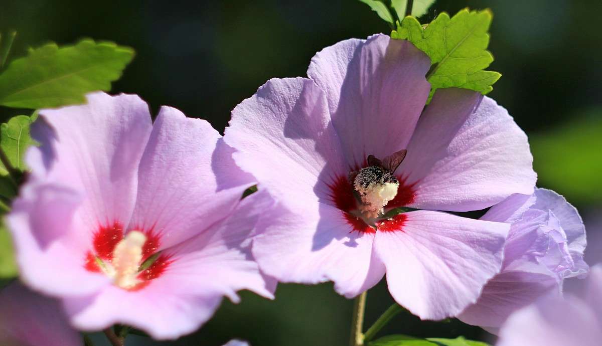 ���� � ���� ����� �����  �� PhotoGeek.ru #������ ��� ������� #����� ��������������