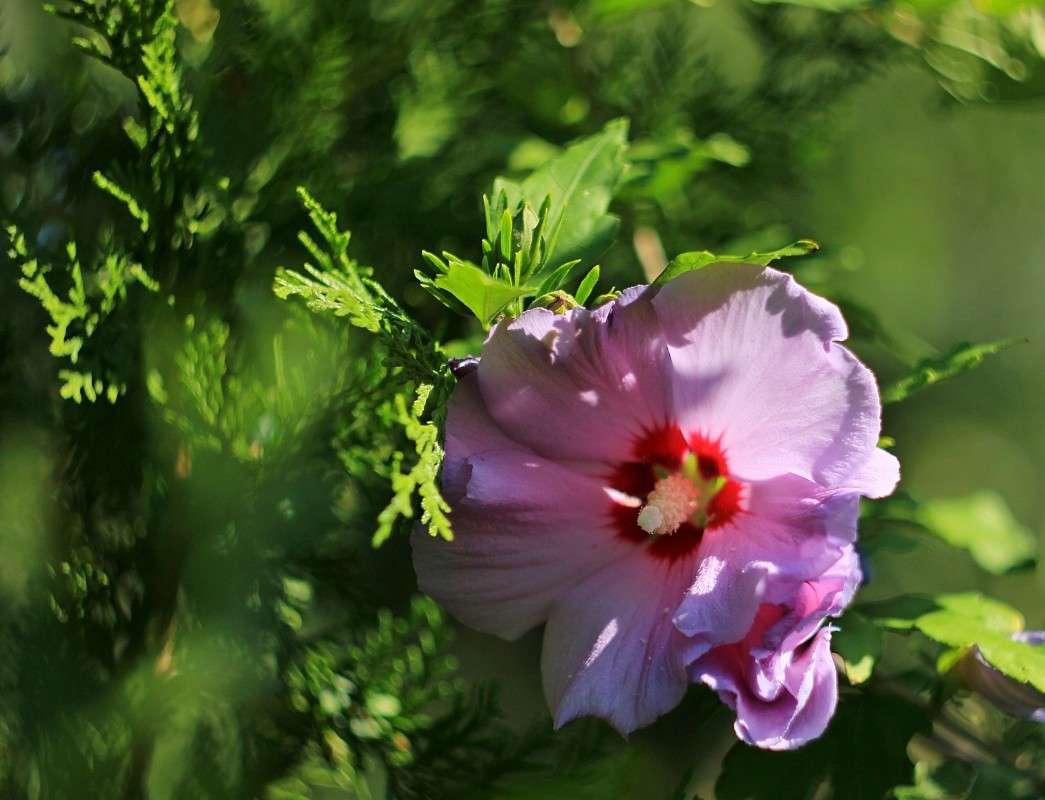 �������� ����� �����  �� PhotoGeek.ru #������ ��� ������� #����� ��������������